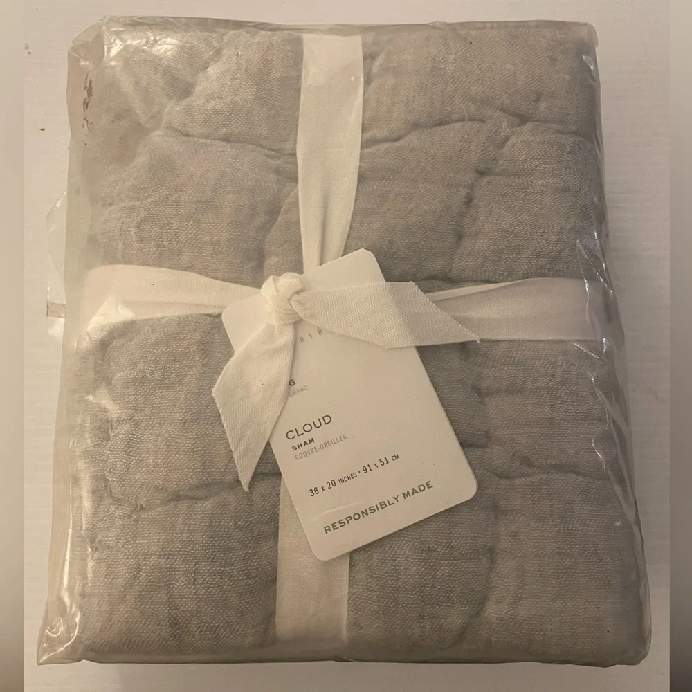 Pottery Barn Cloud Quilted King Sham in Chambray